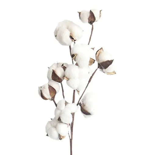 Artificial Cotton Stem for Decor
